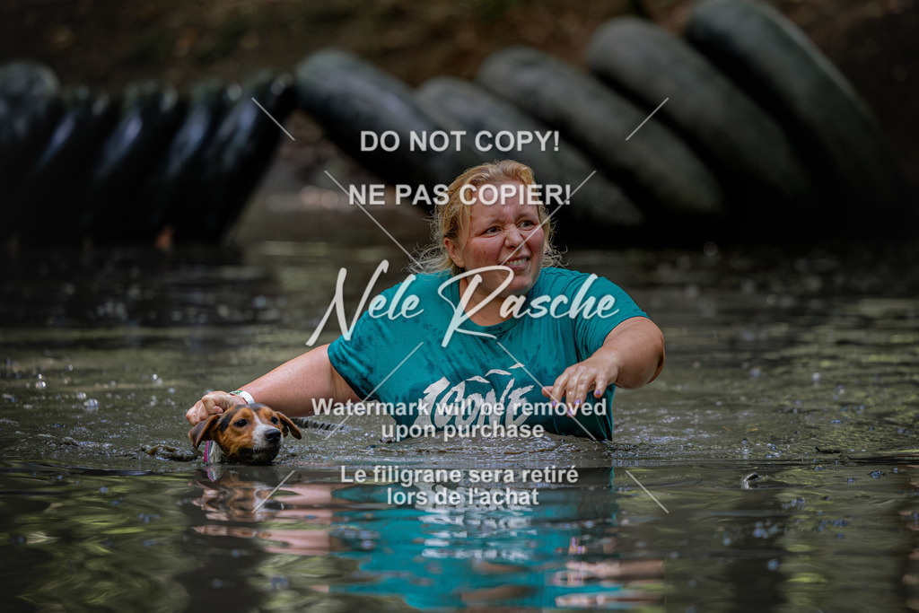nelerasche_SaWingst1530-1600_302 | nelerasche