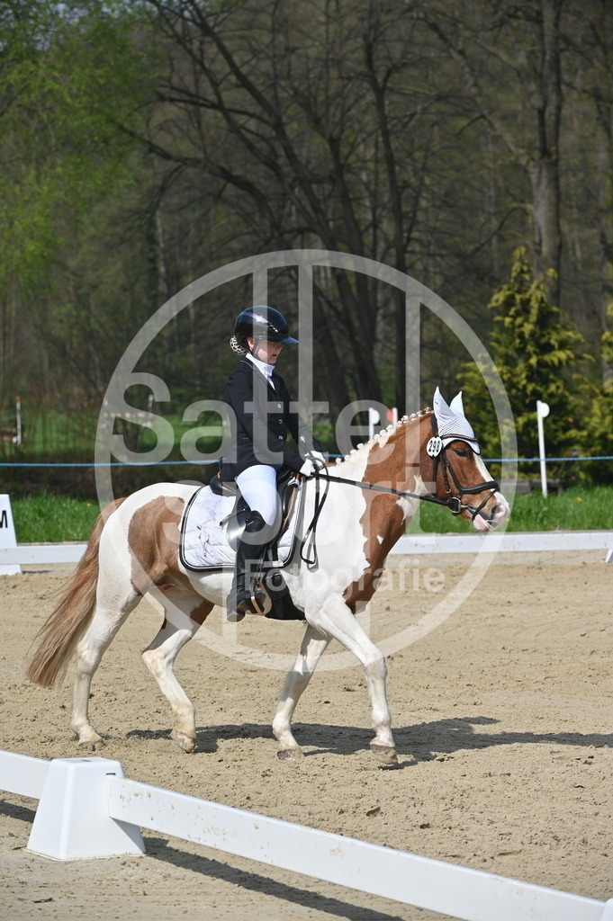 DSC_1000 | sattelsport - Realisiert mit Pictrs.com