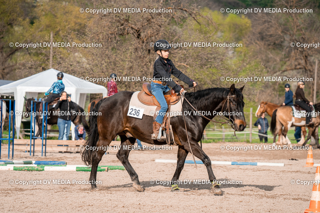 BAL02910 | dv-media-shop - Realisiert mit Pictrs.com