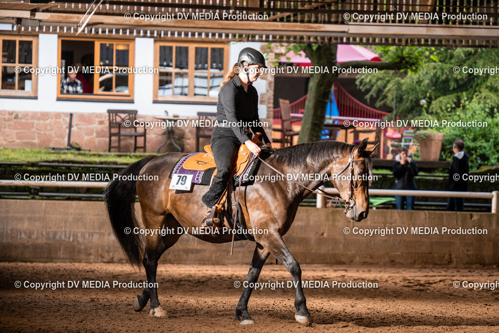 Erbach Tag 1-079 | dv-media-shop - Realisiert mit Pictrs.com