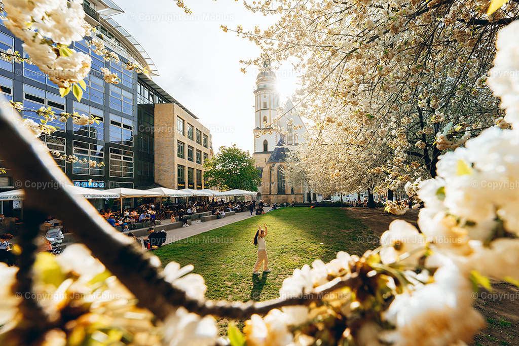 _DSC1379 | Leipzig Wandbilder Drucke Prints Leinwand Stadtmotive Leipzig Fotosdruck Kunstdrucke Bilder Leipzig Stadtansichten Acrylglasbilder Leipzig Wanddeko Fine Art Prints Wandbilder Büro Leipzig Bilder Praxis Zuhause Bilderdruck Poster Posterlounge Kunstdrucke - Realisiert mit Pictrs.com