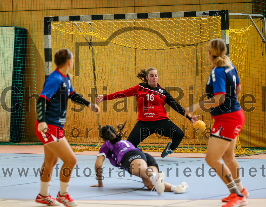 2023-10-14_090_SpVgg_Altenerding_gegen_HSG_Freising_Neufahrn_Damen | Erding, Deutschland, 14.10.2023:
Handball, Bezirksliga Frauen Altbayern 2023 / 2024, 3. Spieltag, SpVgg Altenerding II gegen HSG Freising-Neufahrn II, Endergebnis: 23:28

Torfrau Hanna Knecht (HSG Freising-Neufahrn, #16)

Foto: Christian Riedel / fotografie-riedel.net