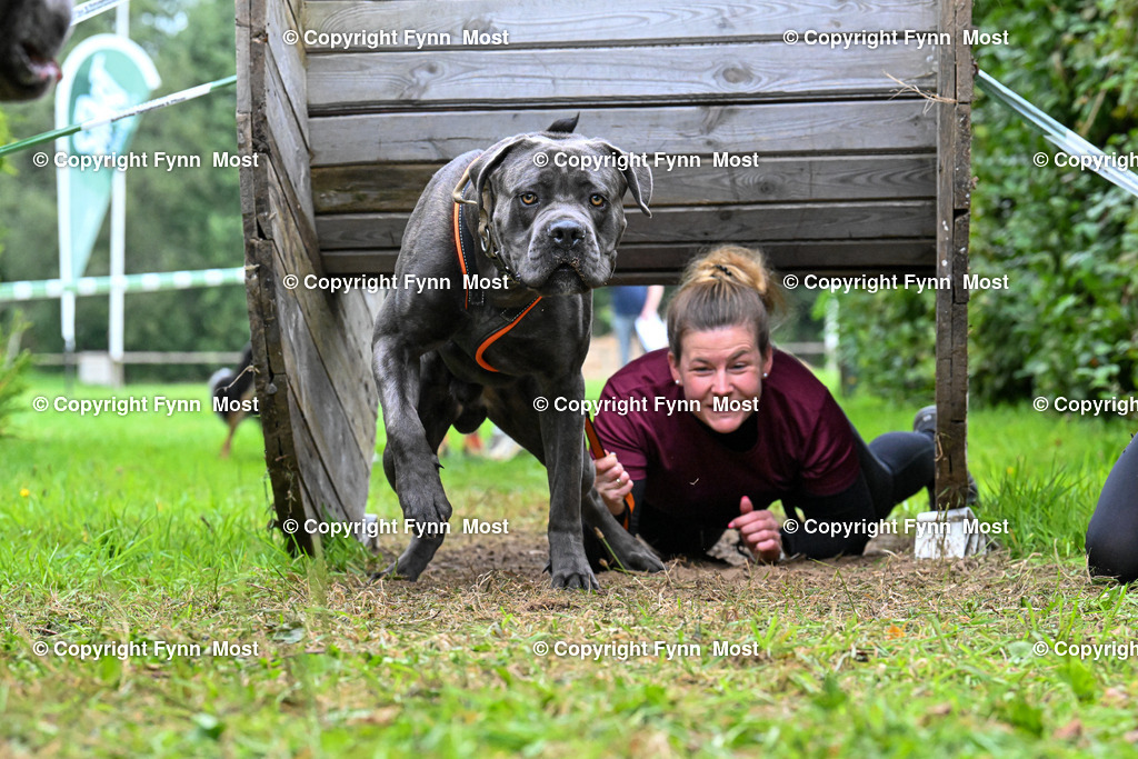 DSC_9478 | Hallo und herzlich Willkommen auf meiner Shop-Seite Fynn Most.

Ich wünsche Dir viel Spaß beim stöbern durch die Bilder, wenn Du Fragen hast oder Bilder vermisst, kannst du mir gerne eine Nachricht schreiben. - Realisiert mit Pictrs.com