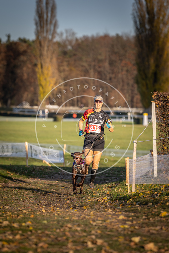 CaniXpix_DV3A3436 | Hundefotografie, Tierfotograf, Pfotenfotografie, Fotoshooting Hund, Hunde Portrait, Hundesport, Hundeportraits, Heideshooting, Hunde, Sportfotograf, Hundefotograf, Turnierhundsport, THS,  - Realisiert mit Pictrs.com