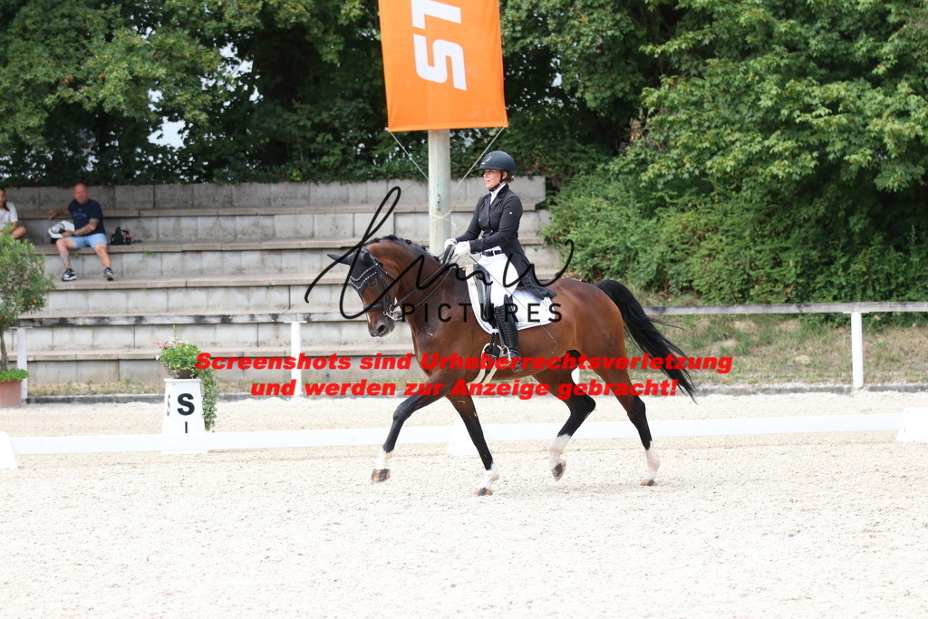 IMG_1714 | lmwpictures - Realisiert mit Pictrs.com