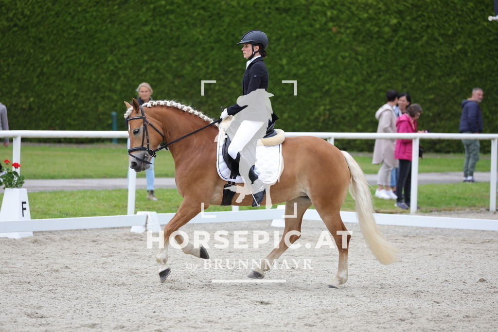 0P6A5243 | Willkommen bei Brunnmayr - Design & Fotografie – Ihrem Spezialisten für Reitturniere und Pferdeveranstaltungen in Oberösterreich, Salzburg und Bayern! Seit über 17 Jahren sind wir leidenschaftlich dabei.