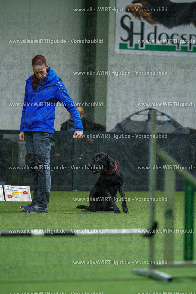 7R504133 | Professionelle Tierfotografie in Mönchengladbach von Daniel Wirth (allesWIRTHgut). Liebevolle & natürliche Bilder von Hunden & Katzen für unvergessliche Erinnerungen.