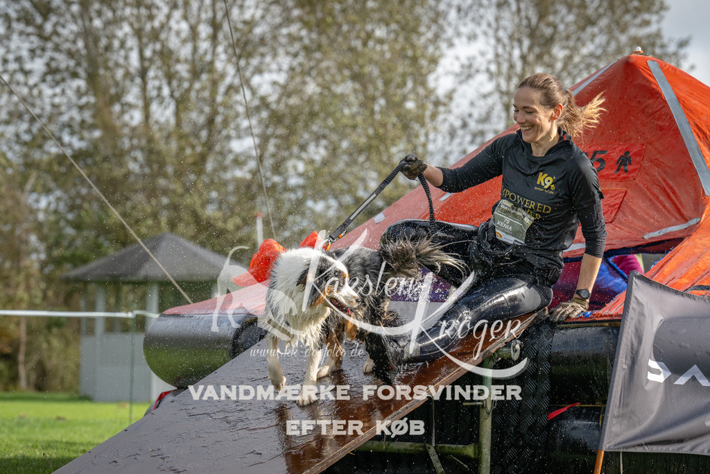 1217-93124 | kk-dogfotos