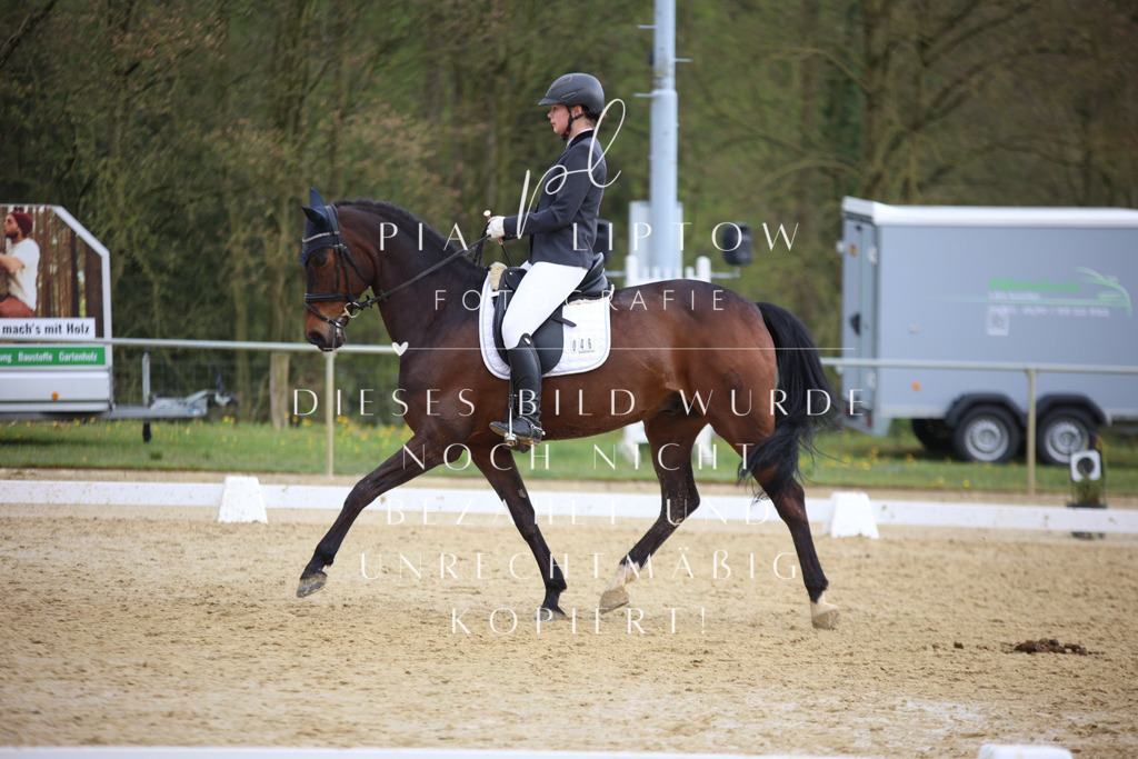 IMGT7273 | pl-fotografie