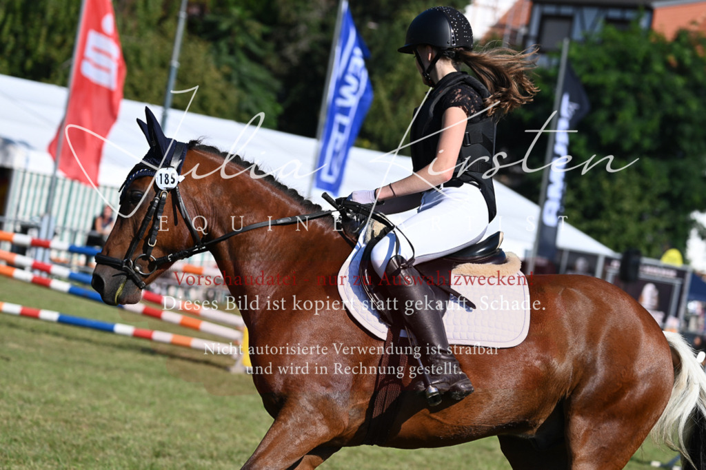DSC_5349 | Pferde- und Turnierfotografie in Westsachsen. Pferdeportraits, Auftragszeichnungen und intuitive Kunst.