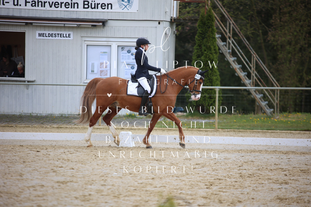 IMGT3977 | pl-fotografie