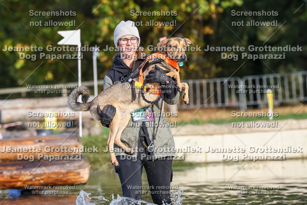 Dog Paparazzi - Strongdog 10-25-8421 | Dog Paparazzi Jeanette Grottendiek Fotografie & Videografie - Realisiert mit Pictrs.com