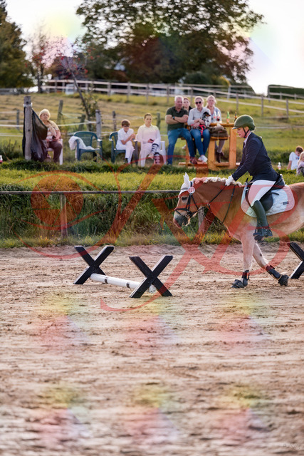 2026_10_03_Siefer-Hof_145457_Z81_35225599 | Professionelle Reitsport-, Turnier- und Eventfotografie von Robert Broda. Galerien mit ausgewählten und bearbeiteten Bildern direkt online ansehen und bestellen.