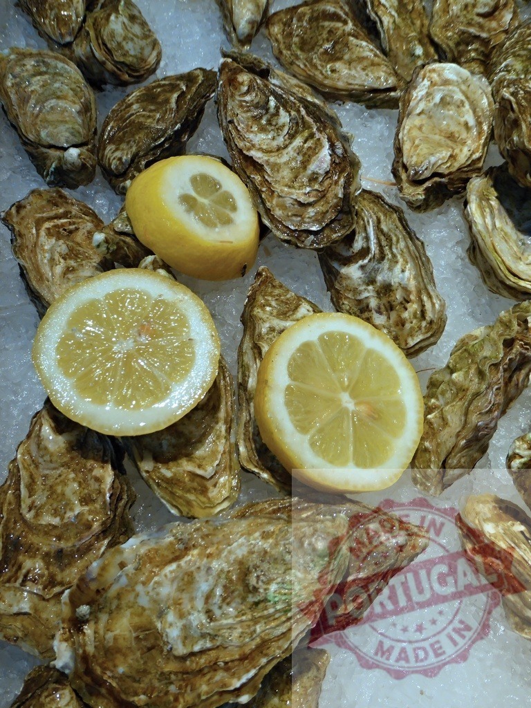 Oysters and lemons resting on crushed ice | Fresh raw oysters displayed with lemon halves on a bed of ice, ready for consumption - Realisiert mit Pictrs.com