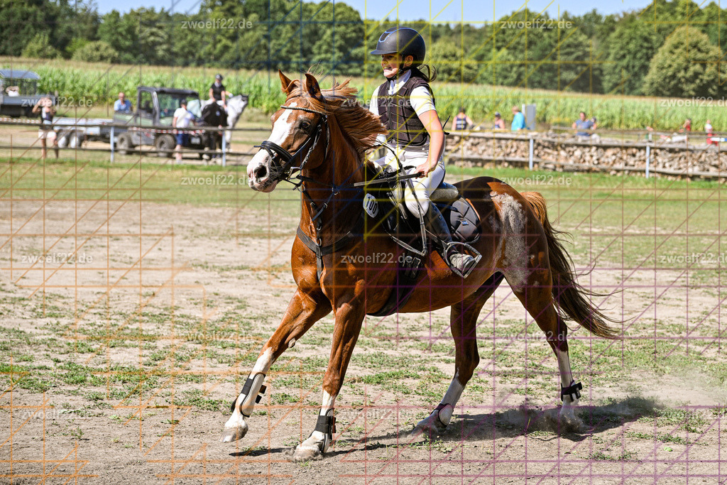 30 Jahre RFV Pulsnitz e.V., Pulsnitz am 09.08.2026 | Zur 28. breitensportlichen Veranstaltung des RFV Pulsnitz e.V. fanden verschiedene Wettbewerbe in nahezu allen Disziplinen des Pferdesport statt. - 06 Standard-Spring-Wettbewerb - Realisiert mit Pictrs.com