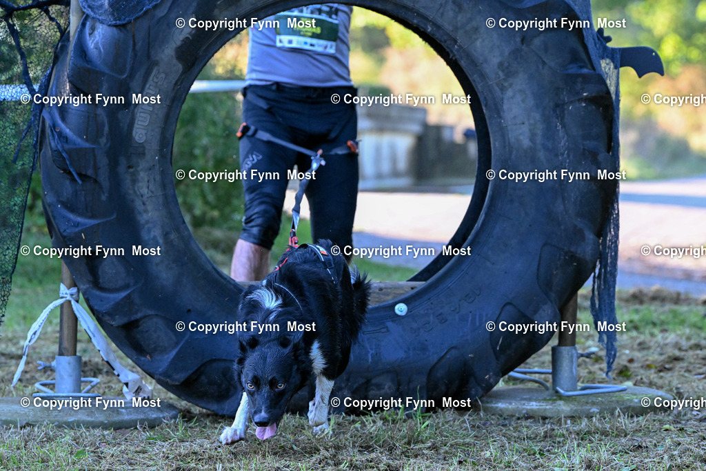 DSC_4034 | Hallo und herzlich Willkommen auf meiner Shop-Seite Fynn Most.

Ich wünsche Dir viel Spaß beim stöbern durch die Bilder, wenn Du Fragen hast oder Bilder vermisst, kannst du mir gerne eine Nachricht schreiben. - Realisiert mit Pictrs.com