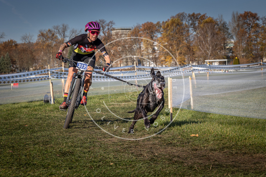 CaniXpix_0L8A5655 | Hundefotografie, Tierfotograf, Pfotenfotografie, Fotoshooting Hund, Hunde Portrait, Hundesport, Hundeportraits, Heideshooting, Hunde, Sportfotograf, Hundefotograf, Turnierhundsport, THS,  - Realisiert mit Pictrs.com