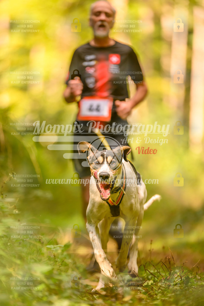 MompixPhotography_Yens2025_B2-164 | PayLife