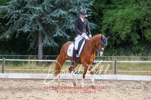 DKP45620 | Turniersportfotografie; Pferdefotografie; Dressurfotografie