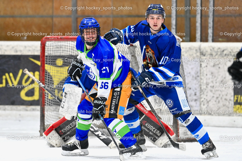 EC Tigers Paternion vs. EC Virgen 12.2.2023 | #66 Stadler Andreas, #10 Ortner Philipp