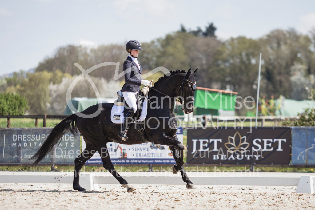 250416_Dressurpferde-L-246 | Deine schönsten Turniermomente als professionelle Fotos! Entdecke hochwertige Pferdesport-Fotografie im Online-Shop. Jetzt Fotos finden & bestellen!