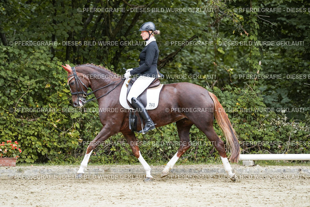 DSC09820 | Pferdegrafie