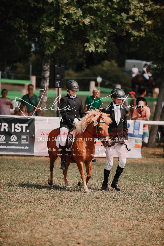 DSC_6062 | Pferde- und Turnierfotografie in Westsachsen. Pferdeportraits, Auftragszeichnungen und intuitive Kunst.