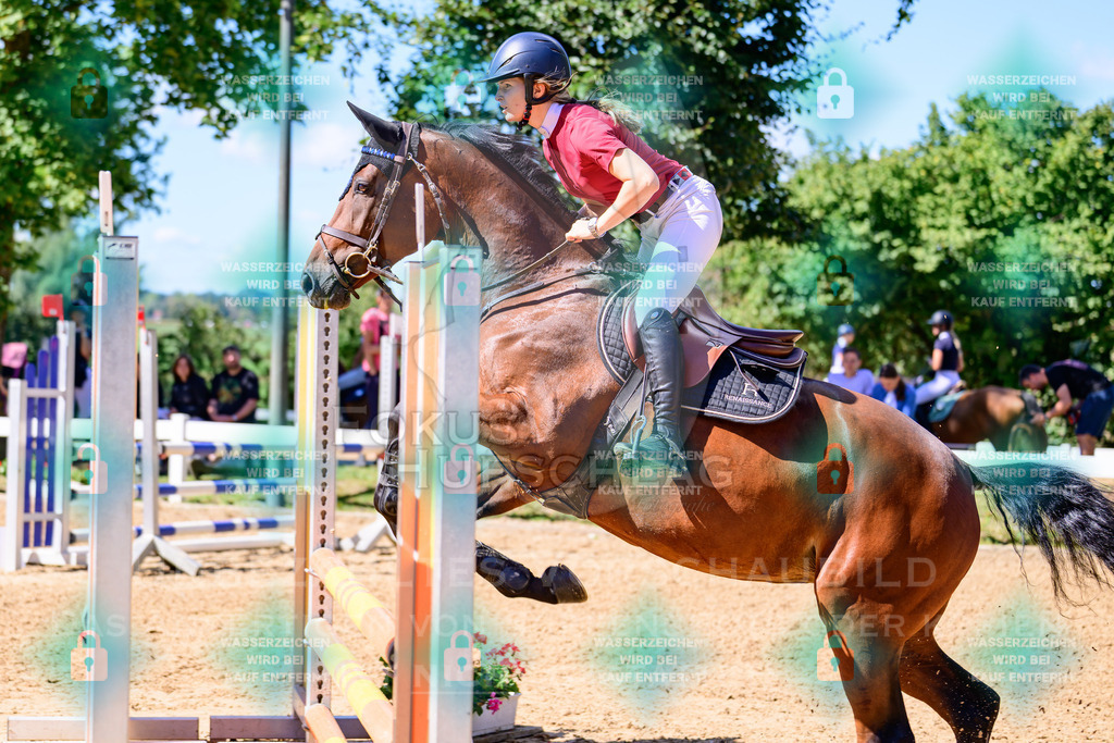 29082026-Giesenbach-Prfg10-0262 | Fokus Hufschlag Fotografie - Realisiert mit Pictrs.com