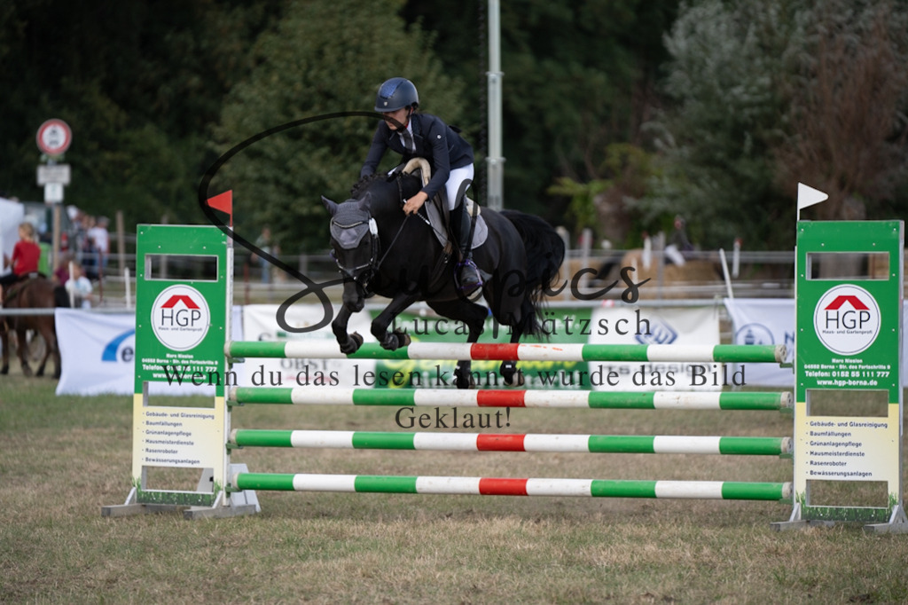 A7V09432 | Pferdefotograf