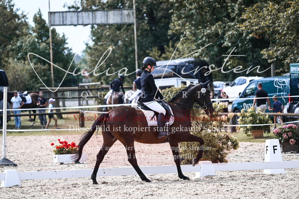 DSC_5267 | Pferde- und Turnierfotografie in Westsachsen. Pferdeportraits, Auftragszeichnungen und intuitive Kunst.