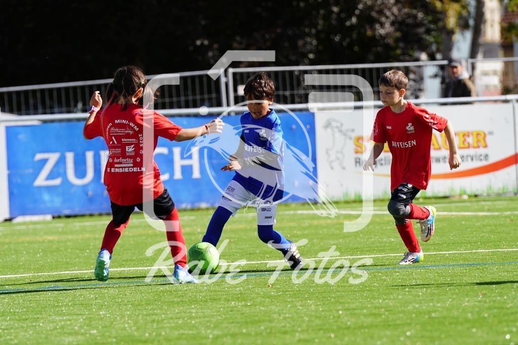SON07327 | rabefotos