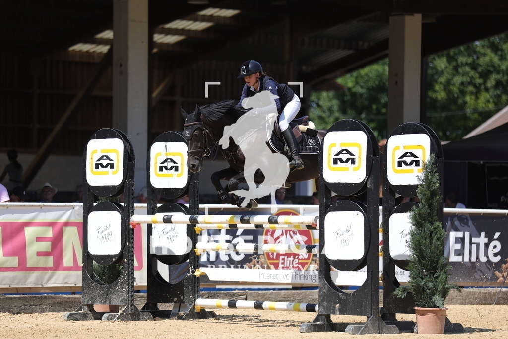 0P6A7082 | Willkommen bei Brunnmayr - Design & Fotografie – Ihrem Spezialisten für Reitturniere und Pferdeveranstaltungen in Oberösterreich, Salzburg und Bayern! Seit über 17 Jahren sind wir leidenschaftlich dabei.