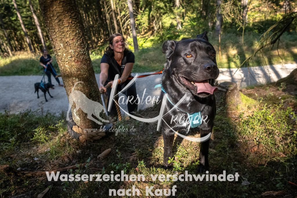 1126_ZZ90461 | kk-dogfotos