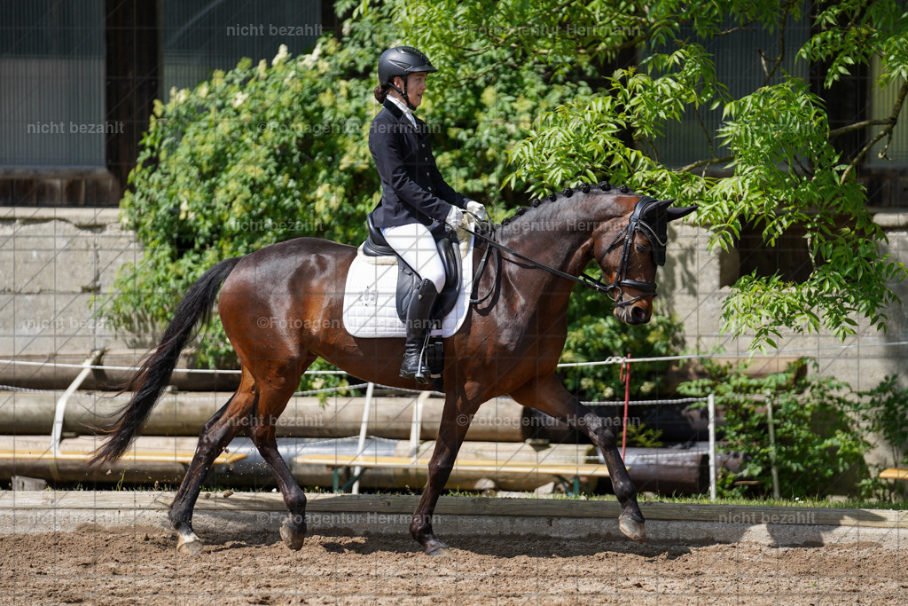 20240519-FAH05065 | Turnierbilder Niederseeon 2024, Vielseitigkeitsdressur, Reitsportbilder aus dem Landkreit Ebersberg, Gut Steinsee, RC Steinsee, Fotoagentur Herrmann