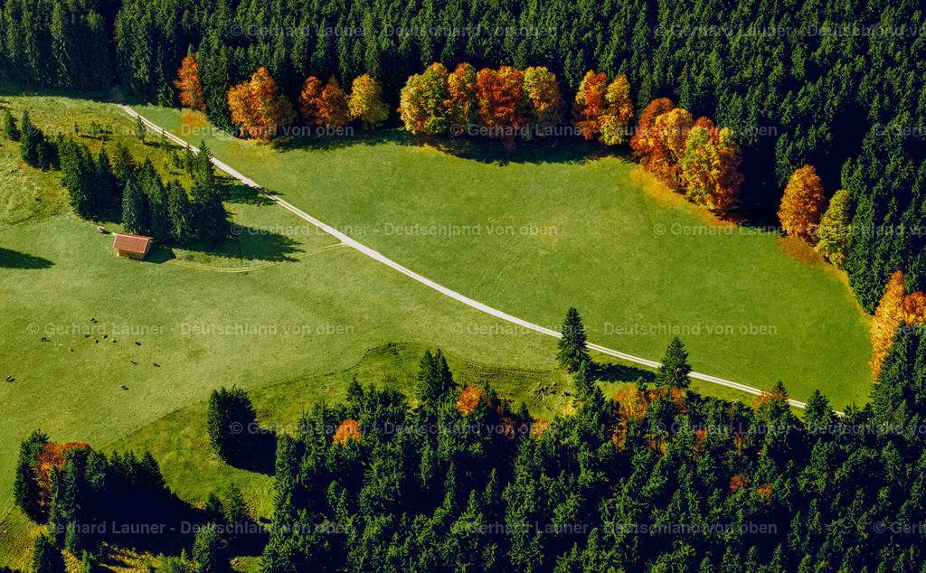 9300095 | herbstbäume bei Rettenberg