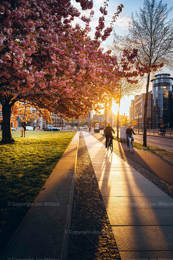 _DSC6772 | Leipzig Wandbilder Drucke Prints Leinwand Stadtmotive Leipzig Fotosdruck Kunstdrucke Bilder Leipzig Stadtansichten Acrylglasbilder Leipzig Wanddeko Fine Art Prints Wandbilder Büro Leipzig Bilder Praxis Zuhause Bilderdruck Poster Posterlounge Kunstdrucke - Realisiert mit Pictrs.com
