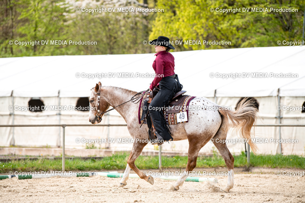 Heiligenwald Tag 1-511 | dv-media-shop - Realisiert mit Pictrs.com