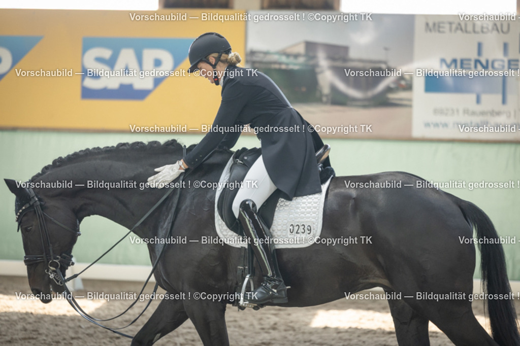 _D5A1650 | Emotionale Pferde- & People-Fotografie rund um Heidelberg, Leimen & Umgebung. Natürliche Fotos von Pferd, Mensch & Familie. Jetzt Termin sichern!
