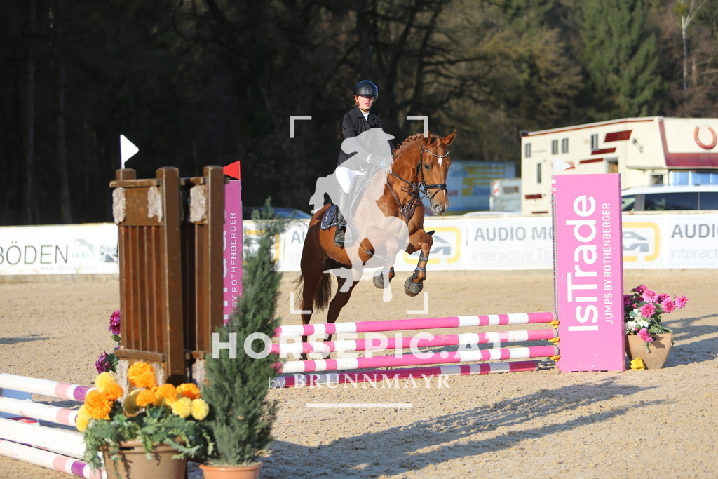DL2Q1752 | Willkommen bei Brunnmayr - Design & Fotografie – Ihrem Spezialisten für Reitturniere und Pferdeveranstaltungen in Oberösterreich, Salzburg und Bayern! Seit über 17 Jahren sind wir leidenschaftlich dabei.