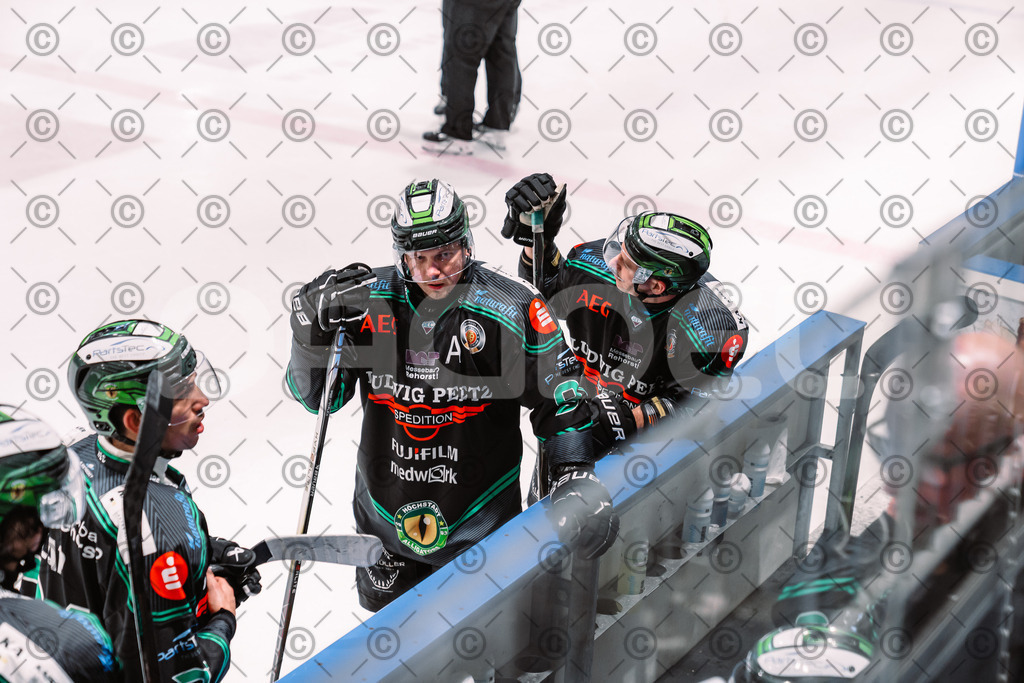 Alligators_vs_Stuttgart_16_11_2025-67 | Höchstadt Alligators Fotogalerie: Eishockey-Action aus Franken. Professionelle Spielfotos, Portraits & Stadionbilder zum Download. Jetzt entdecken! - Realisiert mit Pictrs.com