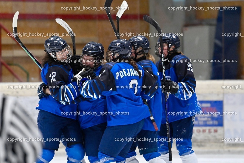 BST_3208 | hockey sports photos, Pressefotos, Sportfotos, hockey247, win 2day icehockeyleague, Handball Austria, Floorball Austria, ÖVV, Kärntner Eishockeyverband, KEHV, KFV, Kärntner Fussballverband, Österreichischer Volleyballverband, Alps Hockey League, ÖFB, 