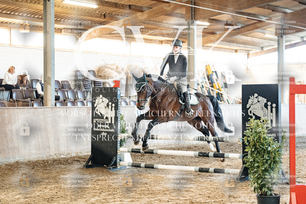 CK904293 | Turnierfotografie Pferdefotografie Trier Rheinland-Pfalz Pferdesport Reitsport Tierfotografie Sportfotografie Pferdevideo Pferdevideografie Equestrianvideography equestrianphotography  - Realized with Pictrs.com