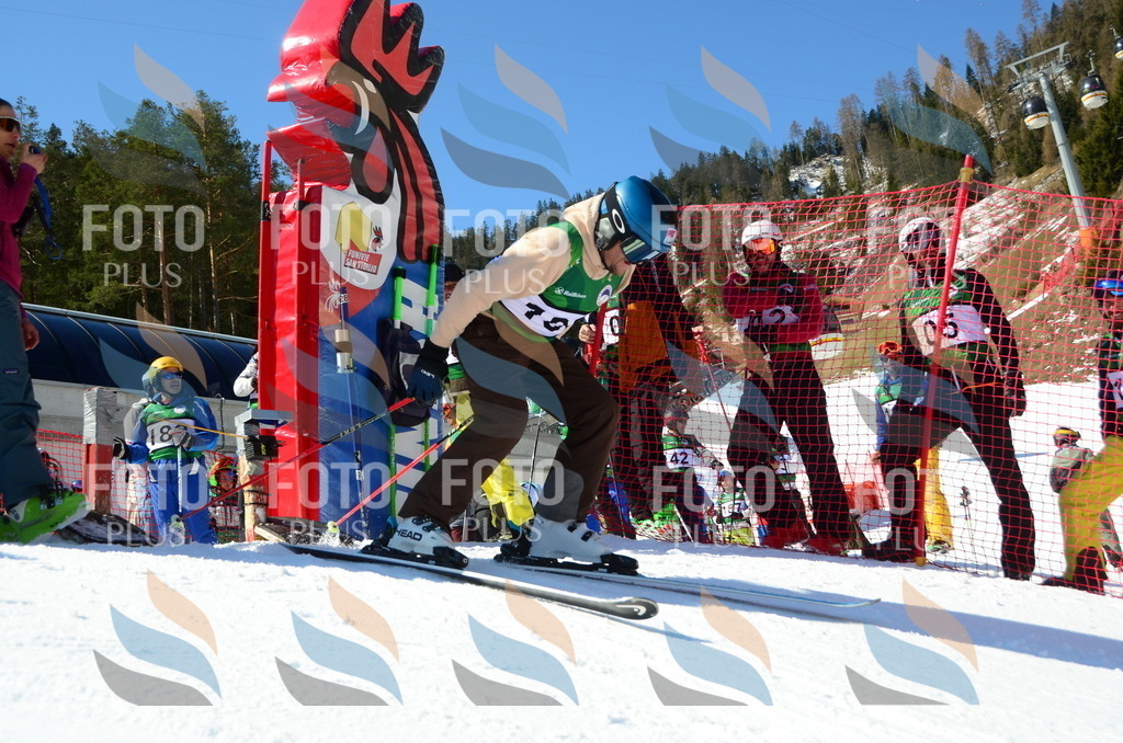 C6389 | holidayphoto