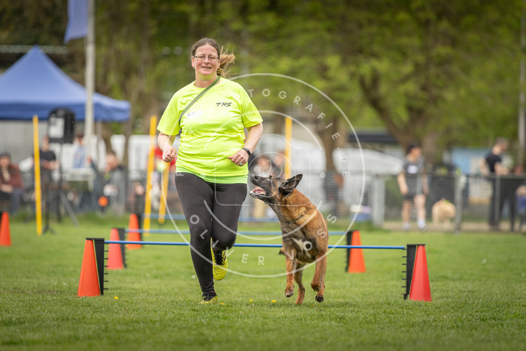Pfotenfotografie_DV3A0550 | Hundefotografie, Tierfotograf, Pfotenfotografie, Fotoshooting Hund, Hunde Portrait, Hundesport, Hundeportraits, Heideshooting, Hunde, Sportfotograf, Hundefotograf, Turnierhundsport, THS,  - Realisiert mit Pictrs.com