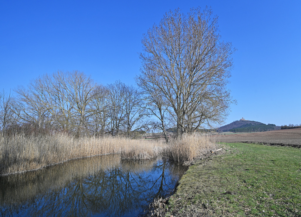 Teichblick01 | lucisnaturbilder - Realisiert mit Pictrs.com