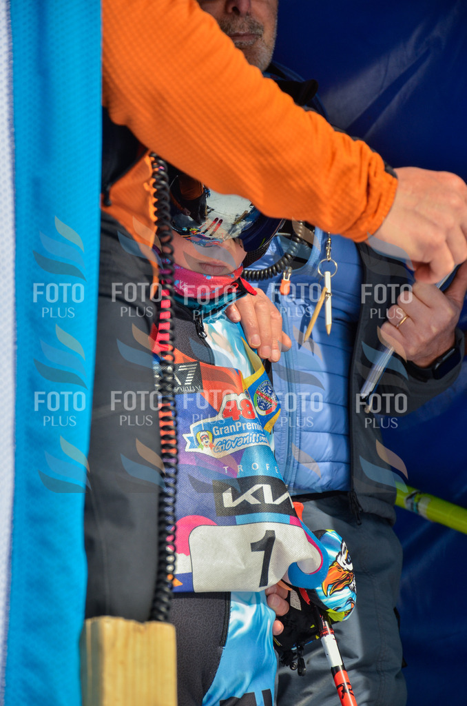 _ELE4314 | holidayphoto