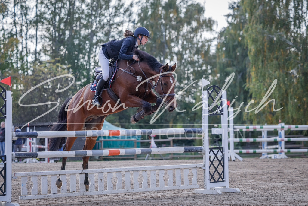 20251012-_3LI5564 | Tierfotografie Pferde, Hunde, Katzen, Haustiere.
Turnierfotografie Reitturniere, Reiten, Springreiten, Dressur in Hanau, dem Main-Kinzig-Kreis und dem Rhein-Main- Gebiet um Frankfurt