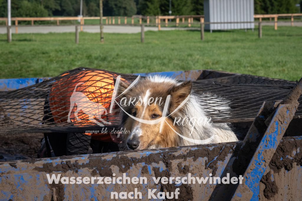 1643_ZZ92914 | kk-dogfotos