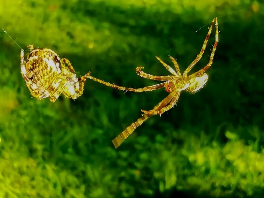 PSX_20220903_222818 | mtkfoto_ - Realisiert mit Pictrs.com