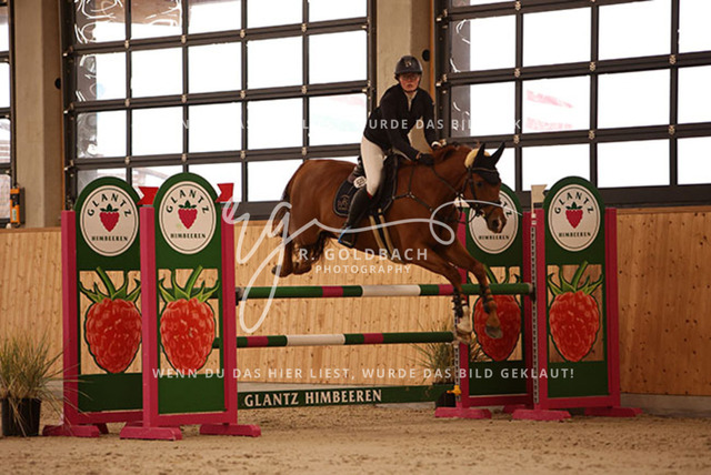 1J2A3522Annelen Heinrich_ Come on Cero_ Kn154_ Hohen Wieschendorf_ Glantz | Foto- und Videografie für alles rund ums Pferd. Hochwertige Bilder und Videos vom Spring- und Dressurreiten, Voltigieren & mehr. Jetzt aktuelle Veranstaltungen und Preise im Shop ansehen. - Realisiert mit Pictrs.com